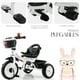 thumbnail image 5 of Triciclo Tipo Carreola Shendy Vendy Portatil Plegable Reclinable 2 En 1, 5 of 8