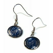 Star Trek The Next Generation United Federation of Planets French Wire Earrings