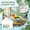 shower system, variant on 1 Pack Parrot Rainfall Style Automatic Bath Machine, Bird Shower Bathtub For Pet Parrots With Spray System, Convenient Pet Bathing Solution