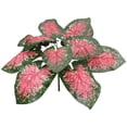 thumbnail image 2 of Mohdy Tropical a rtificial Leaf Stems, Variegated Greenery Branches for Home, Garden, Balcony Planter & Wedding Centerpieces, 2 of 9