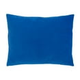 thumbnail image 5 of Sesame Street Come and Play Decorative Toddler Pillow, 5 of 5