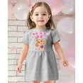 thumbnail image 3 of Birthday Girl Paw Patrol Skye 3rd Dress Infant Toddler Fine Jersey Dress 3T Gray, 3 of 5