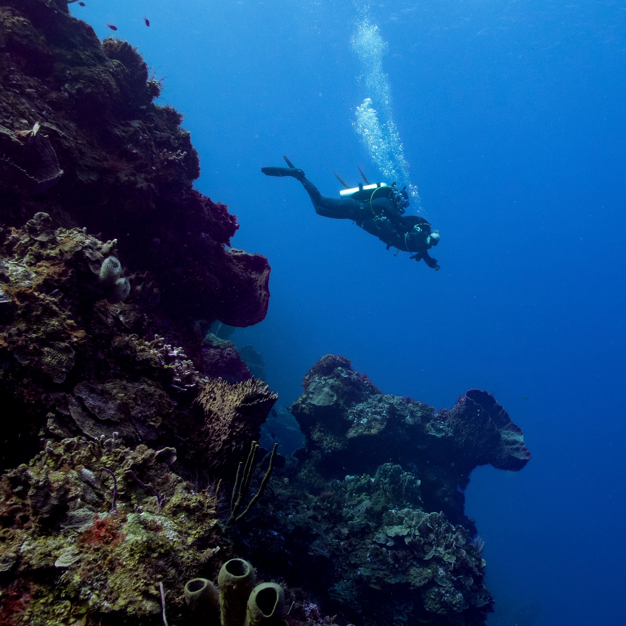 Garmin Descent X30 Scuba Dive Computer