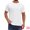 White, variant on DARING DIVA Men's Waffle Fabric Classic Crew Neck Raglan Short Sleeves M White