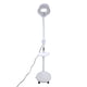 thumbnail image 1 of Lámpara de pie con aumento de 8X y altura ajustable con luz fría LED para uso en salón de belleza y tatuajes, 1 of 15