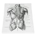 thumbnail image 3 of Lienzo de anatomía impresión HD pintura de arte de pared multiusos anticorrosión Retro para dormitorio para Hospital, 3 of 8