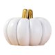 thumbnail image 5 of Soporte para tarjetas de Lugar de calabaza Perfecl soporte para números de mesa blanco, 5 of 8