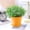 Orange, variant on Clearance! Soovim Indoor Pots Planting Pots Long Open Flowerpot Resin Flowerpot Balcony Large Rose Pot Pot Succulent Flowerpot