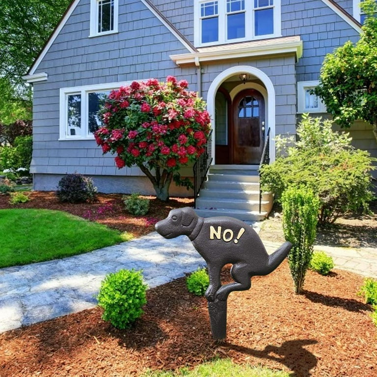 How To Get Dog Poop Out Of Yard