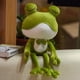 thumbnail image 3 of Adorable Frog Cushion Couple Birthday Gift Plush Sleeping Girl Doll Christmas Gift, 3 of 5