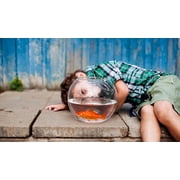 Pet Fish Checklist for Beginners