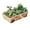 D, variant on Flowerpots with Dish Ceramic, Meaty Flower Pot Ceramic Big Flower Pot Simple Large Caliber Thick Pottery Meaty Plants Plate Rabbit Flower Pot New Styles, Flower Pots