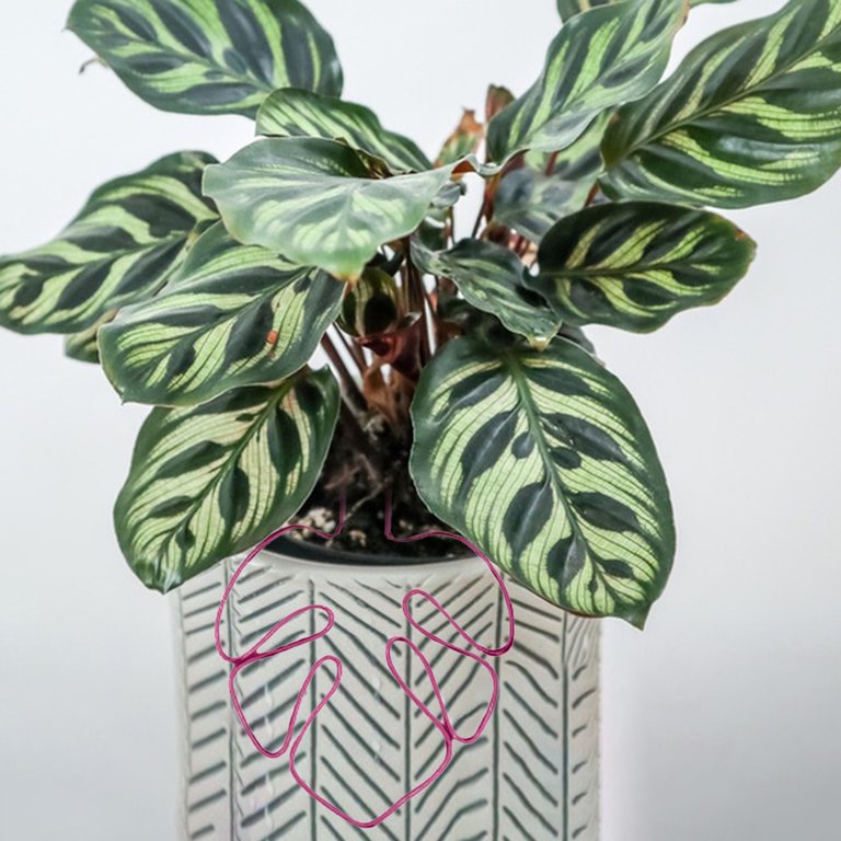 HomeLife Monstera Shaped Plant Stand Rustproof Corrosion Resistant Simple  Installation Potted Plant Support Stake Flower Shaped Support Pile -  Walmart.com