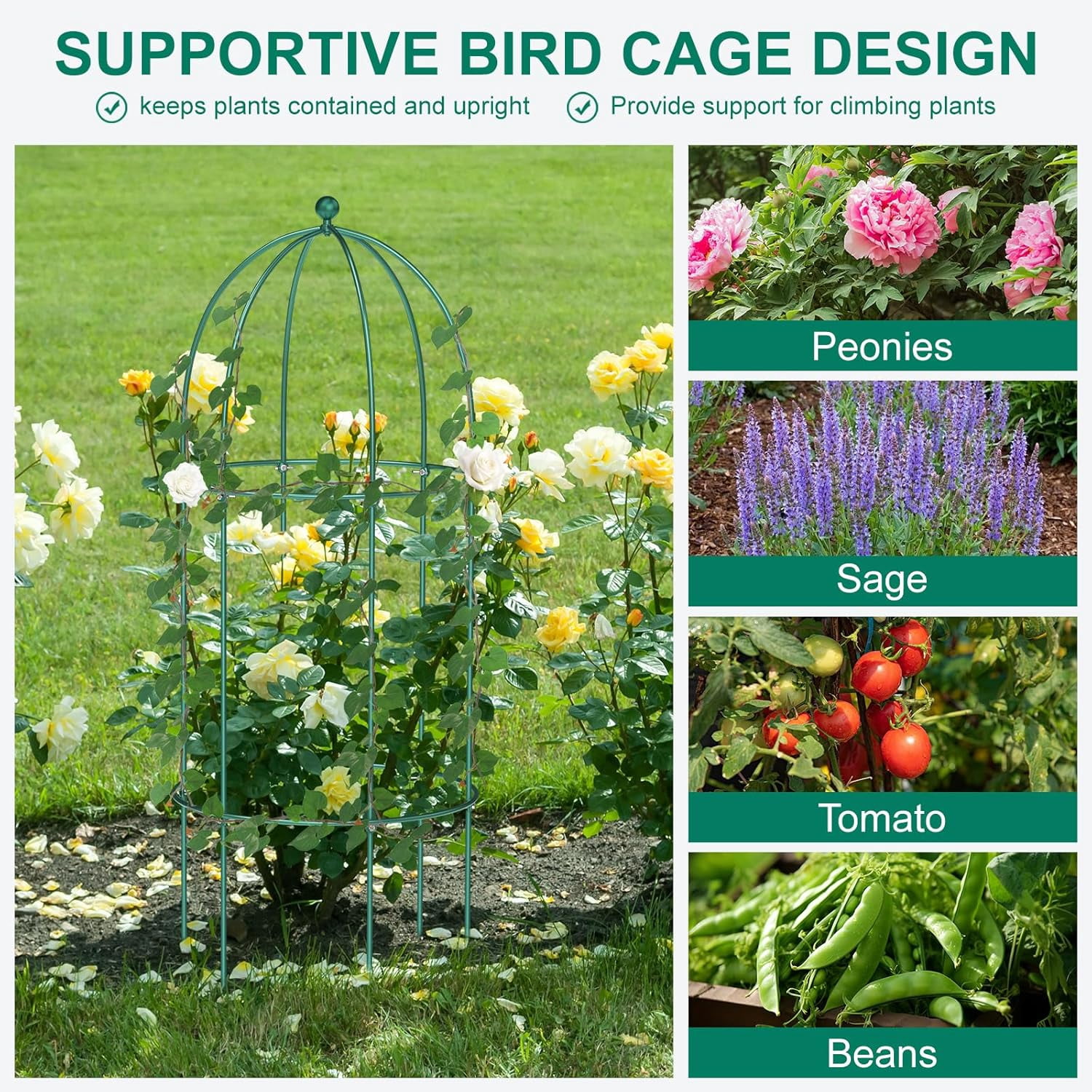 ABORON 3 Pack Garden Trellis for Climbing Plants, 17.7" x 47.2" Metal Rustproof Black Peony Cage, Outdoor Indoor Flowers Potted Obelisk Trellis for Cucumber Vine Lily Rose Plant Support
