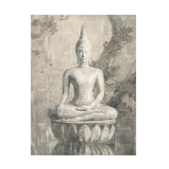 Trademark Fine Art 'Buddha Neutral' Canvas Art by Danhui Nai