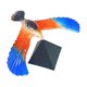 thumbnail image 5 of Juguete de águila Strade Fareast Limited Rosa Grande, 5 of 5