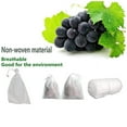 thumbnail image 4 of Scienceny 100x bolsas de malla blancas naturales y respetuosas con el medio ambiente para bolsas de protección de frutas y plantas Jardín y Patio Estilo de cuerda blanca., 4 of 6
