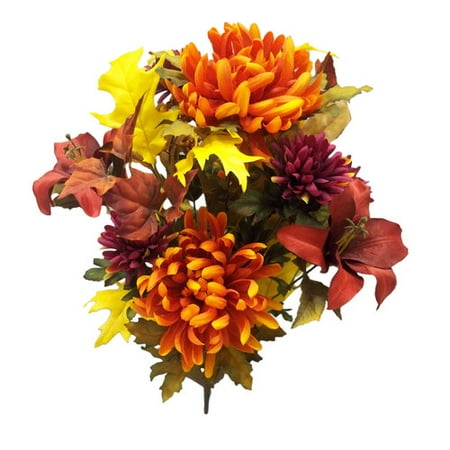 Better Homes and Gardens Mix Ball Mum Harvest Bush