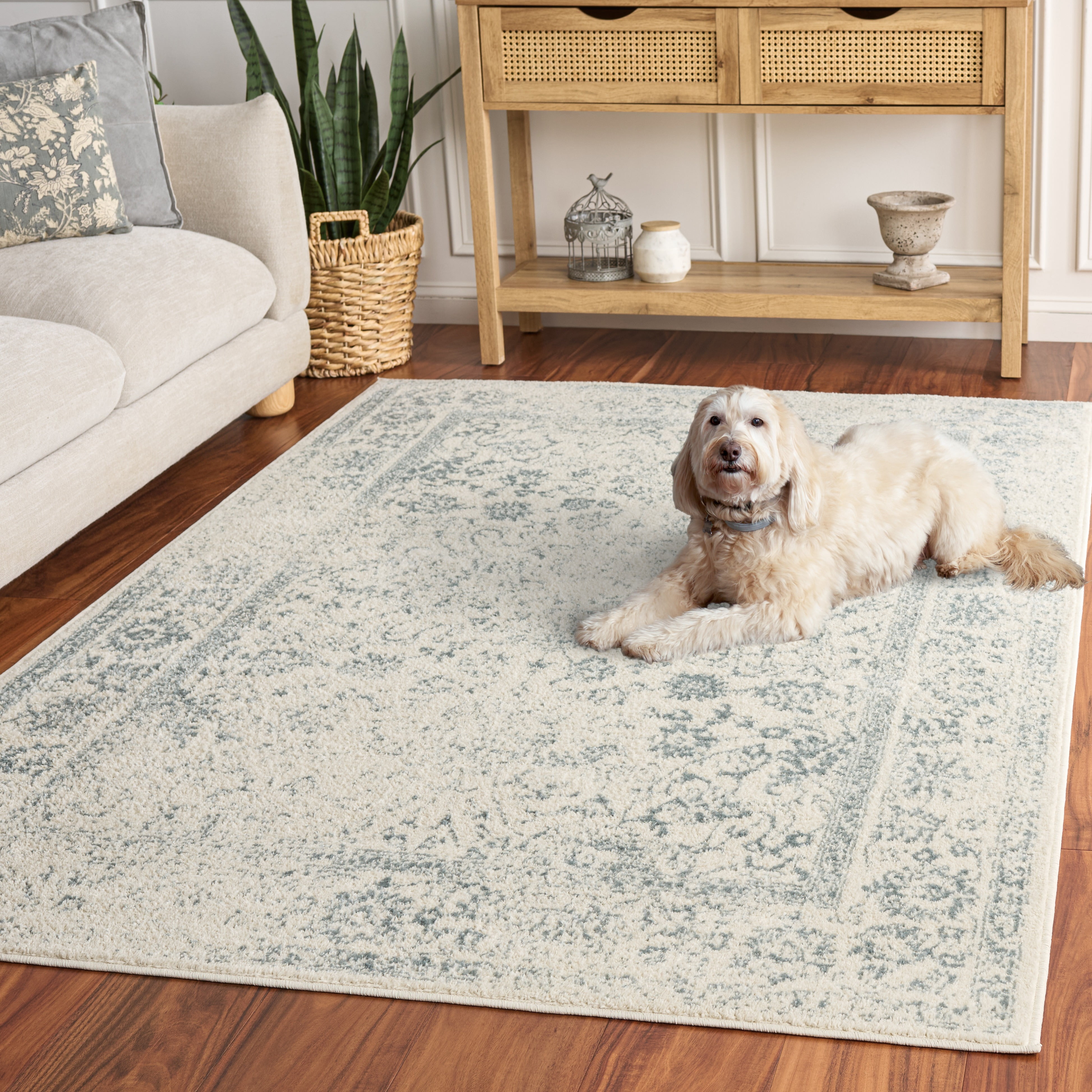 Safavieh Adirondack Wyatt Traditional Distressed Area Rug, Ivory/Slate, 6' x 8'