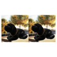 thumbnail image 3 of Wosthever Bobble Head Dog Rocking Head Ornaments Puppy for Auto Dashboard Home Gift Type1 NO1, 3 of 6