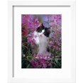 thumbnail image 2 of Domestic Cat, Black Bicolour PersianCross Kitten Among Rosebay Willowherb, Animals Framed Art Print Wall Art by Jane Burton Sold by Art.Com, 2 of 5