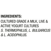 Dannon Plain Whole Milk Yogurt Quart, 32 oz