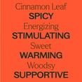 thumbnail image 4 of Plant Therapy Cinnamon Leaf Essential Oil 30 mL (1 oz) 100% Pure, Undiluted, Natural Aromatherpay, 4 of 8