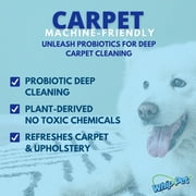 Whip-Pet Odor Eliminator and Stain Remover, Enzymatic Cleaner for Dog Urine and Carpet Odor Removal, Eco-Friendly 128 fl oz.