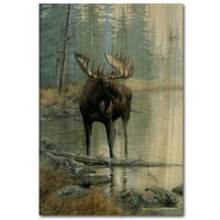 Wgi Gallery Animal Art Walmart Com