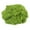 Light Green, variant on 150g Fake Moss for Potted Plant , Artificial Moss Garden Plant Fillers