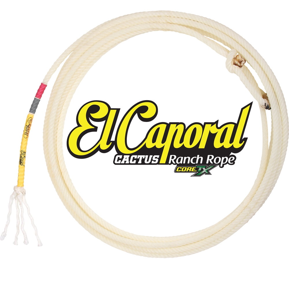 Cactus ropes dishpikol