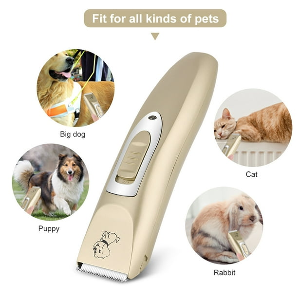 Professional Dog Grooming Kit