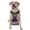 With Accessories, variant on Naloa Pride Rainbow Pet Harness Vest with Traction Rope, Adjustable No-Choke Dog Vest for Outdoor, Walking - Medium