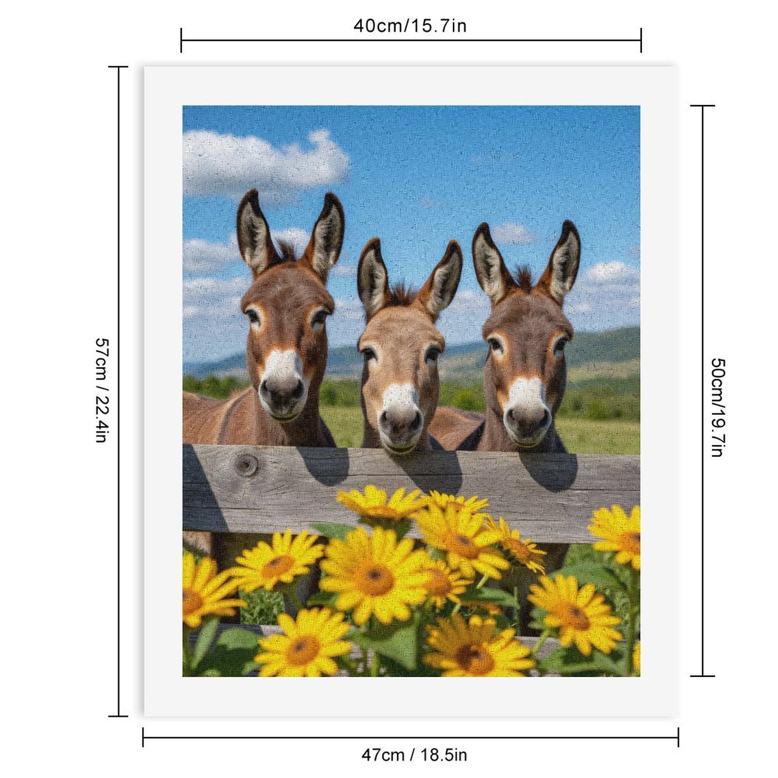 Paint by Numbers Kit for Adults, Donkeys Behind Wooden Fence Flowers Paint by Numbers, Easy Paint by Numbers Kit for Adults Beginner, DIY Adult Paint by Number Kits on Canvas, Home Decor