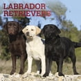 thumbnail image 1 of Labrador Retrievers | 2023 12x24 Inch Square Wall Calendar, 1 of 8