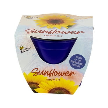 Buzzy Sunflower Flower Grow Kit Item 97718
