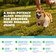 thumbnail image 5 of UBAVET Joint Gold Joint Care Powder for Dogs & Cats – 8.8 oz (250g), 5 of 7