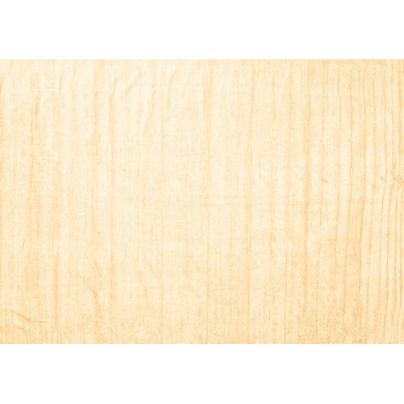 Ahgly Company Indoor Rectangle Solid Brown Modern Area Rugs, 2' x 5'