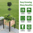 thumbnail image 2 of Gardener's Supply Company Raised Garden Bed Elevated Cedar Planter Box, 2' x 2', 2 of 7