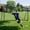 Black, variant on SLSY Soccer Goals,10'x6.5' Portable soccer nets,Practice Training All-Weather Goals,Soccer Training Equipment for Home Backyard