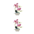 thumbnail image 4 of Bonsái de Orquídeas Artificiales Yuarrent Flores Falsas Rosa Roja 2Conjunto, 4 of 6