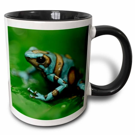 

Blue n brown tree frog on a leaf 11oz Two-Tone Black Mug mug-10378-4