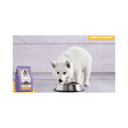 thumbnail image 3 of Nucan Cachorro Razas Medianas y Grandes 900gr, 3 of 4