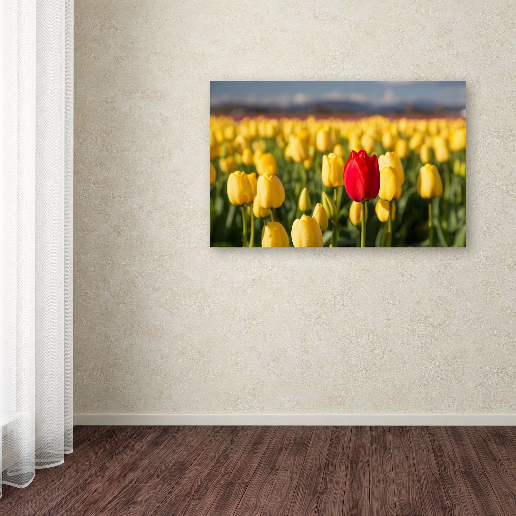 Trademark Fine Art "Red Tulip" Canvas Art by Pierre Leclerc
