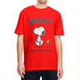 thumbnail image 1 of Camiseta de Snoopy y Charlie Brown para hombre, camisetas vintage de Peanuts, 100 % algodón, camisetas hippies de cuello redondo de verano, camisetas de gran tamaño, 1 of 5