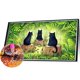 thumbnail image 2 of Diamond Painting 5D DIY Full Square Drill Cat Kit Decoración del hogar Art Craft(3) Hugtrwg Para estrenar, 2 of 9