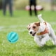 thumbnail image 4 of Pelota de juguete con golosinas para perros, pelota de juguete con golosinas para perros, juguetes interactivos para perros, pelotas para perros, máxima eficiencia, 4 of 10