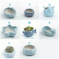 thumbnail image 5 of RAIN Cute Cartoon Whale Shell Succulent Planter Marine Ornament for Garden Home or Nursery Hanging Small Flower Pot, 5 of 5