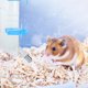 thumbnail image 4 of Dispensador automático de agua para mascotas - Diseño colgante, capacidad de 350 ml y boquilla de acero inoxidable, para gatos, perros y animales pequeños, 4 of 5