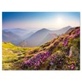 thumbnail image 2 of Fleurs Roses Magiques sur Montagnes - Impression sur Toile pour Photographie de Paysage, 2 of 3